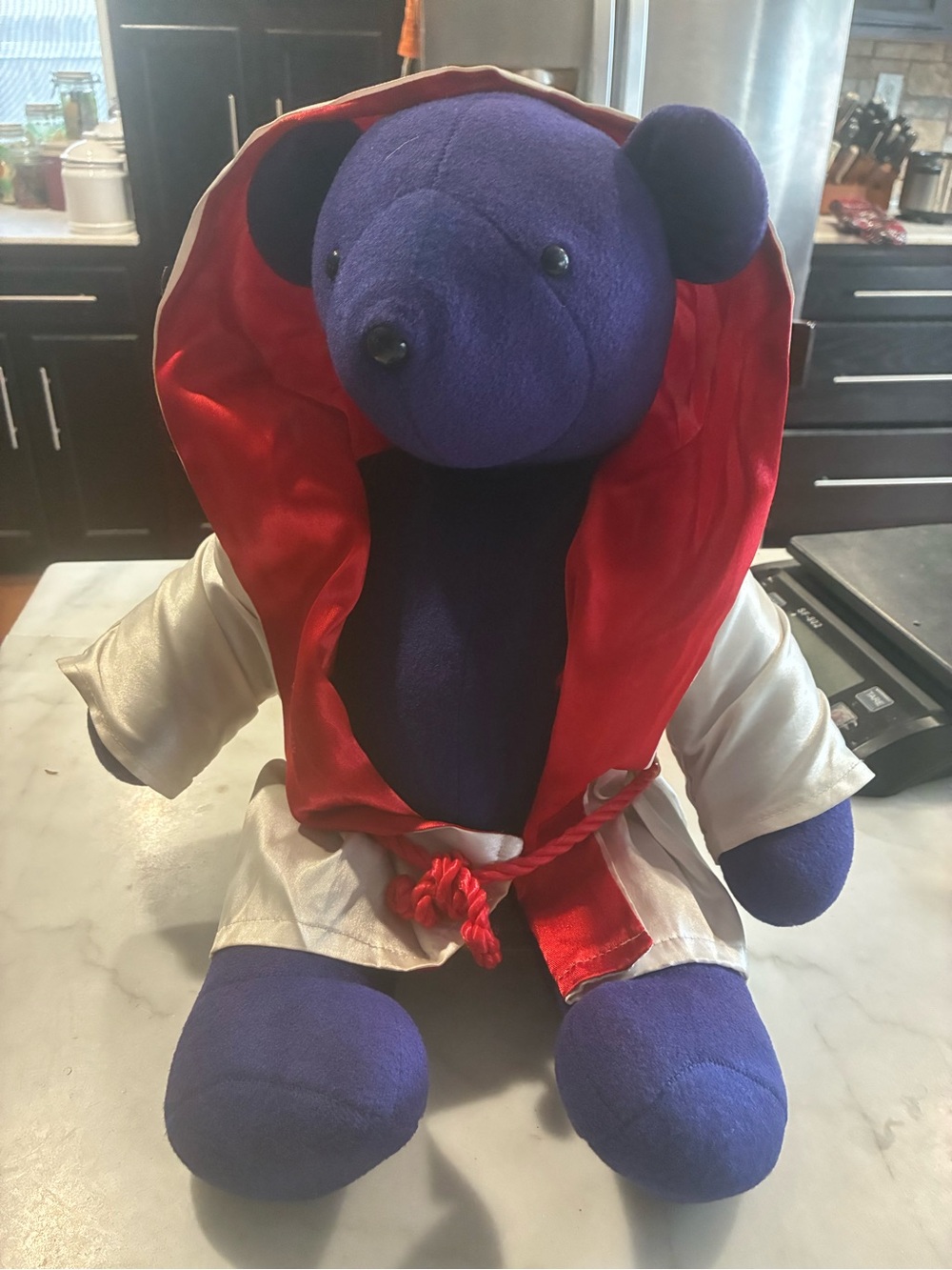 Vintage North American Bear Company 1979 "Rocky Bearboa" 20" Bear Toy